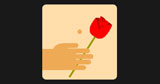  American Beauty 
