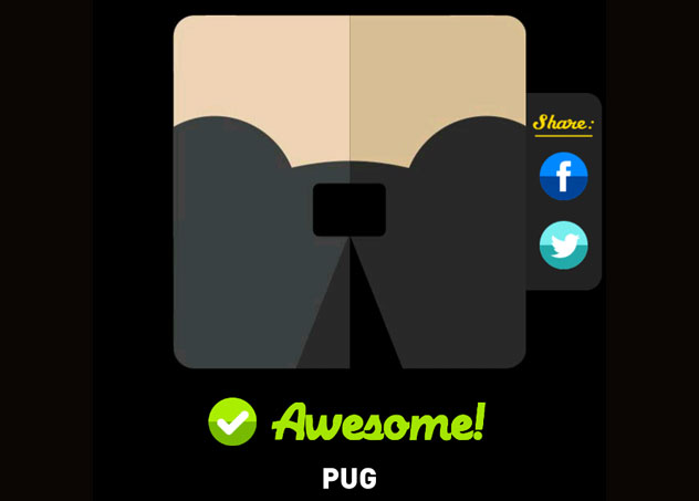 Pug